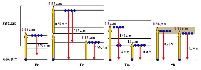 about-amp