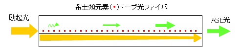 ASE光源での光の進行と増幅