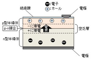 about-pd-1