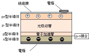 about-pd-5