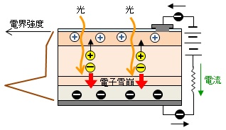 about-pd-6