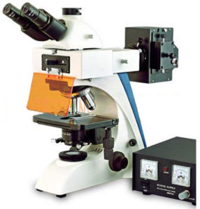 KOZO-ms-XJF300