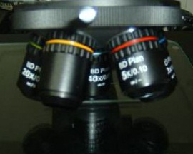 KOZO-ms-ob-lens-bd