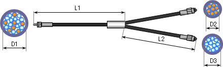 bundle2branches