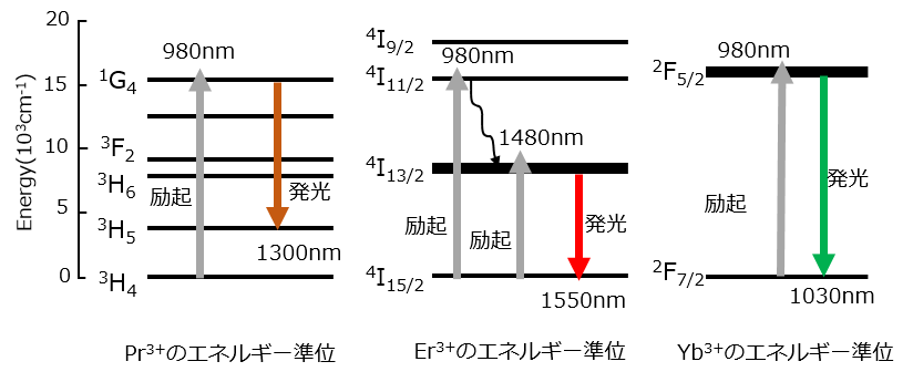 希土類イオンのエネルギー準位と発光